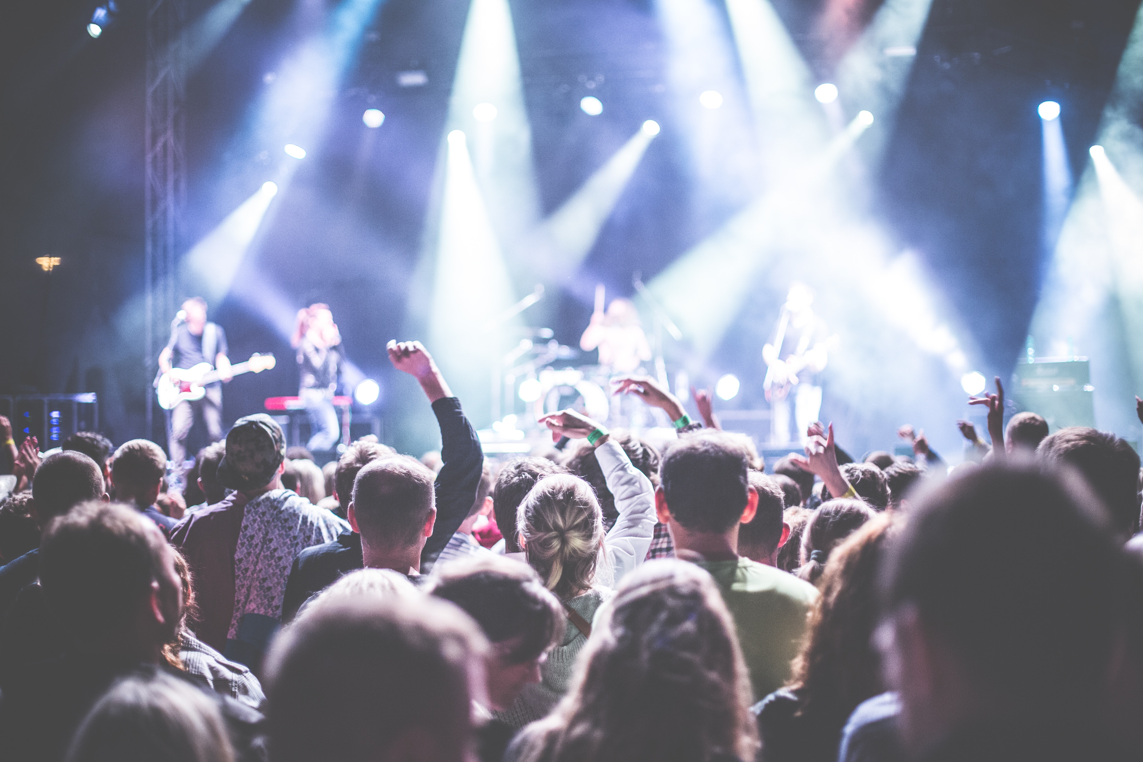 Festival koncert